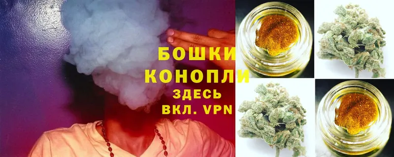 Конопля SATIVA & INDICA  цена   Александровск 